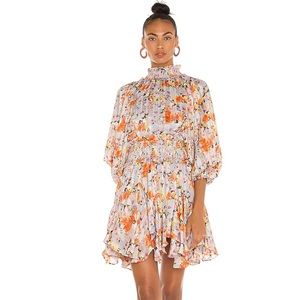 Elliott Careem Dress in Multi